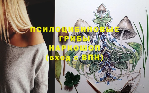 ГАЛЛЮЦИНОГЕННЫЕ ГРИБЫ Горнозаводск